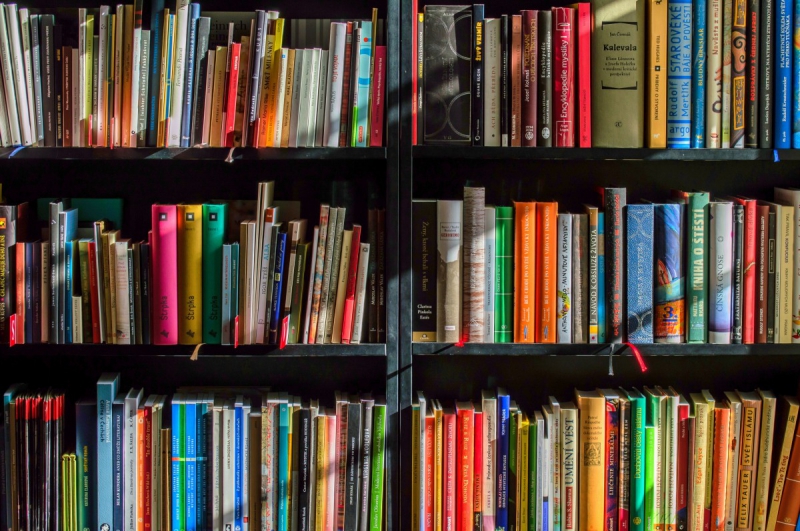 magasin-EVENOS-min_books_bookstore_book_reading_shop_writer_sale_books_read-822866